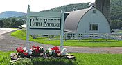 The Cattle Exchange
